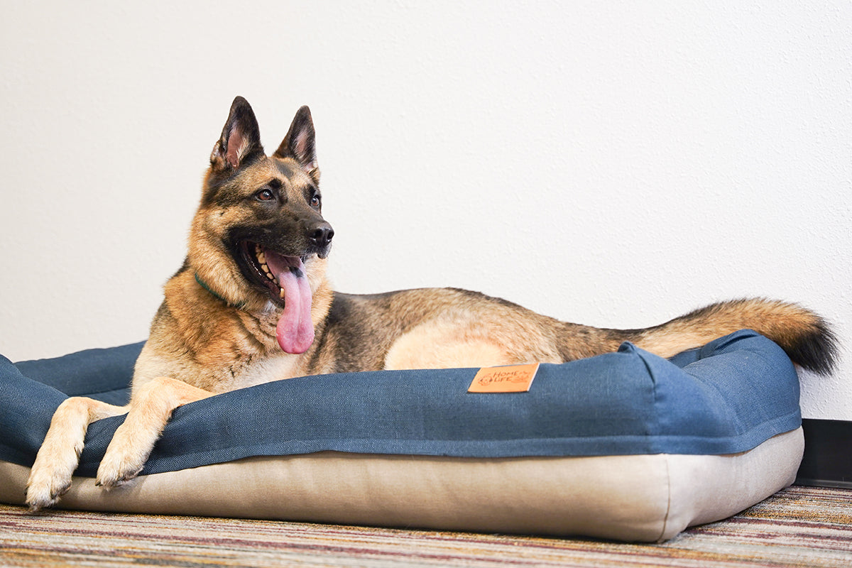 Air Bed - Medium size