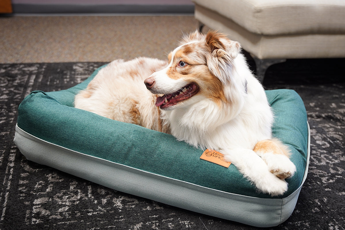 Air Bed - Medium size