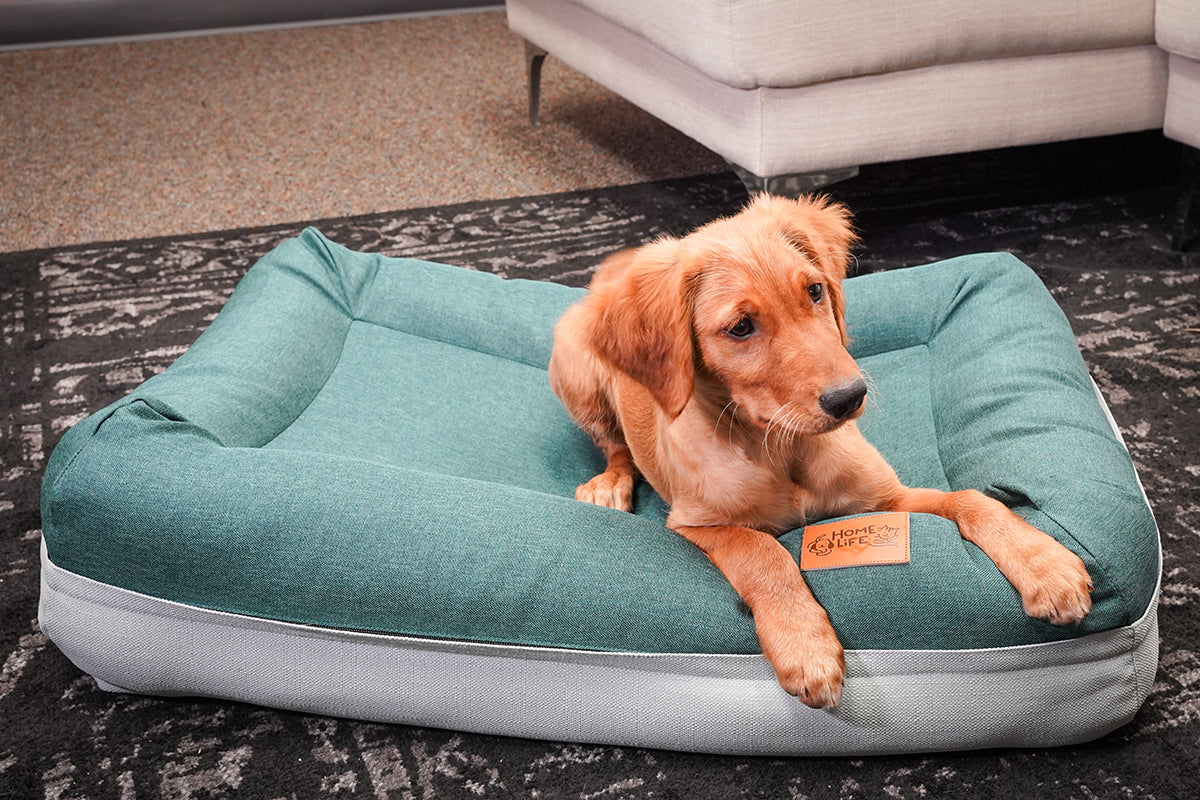 Air Bed - Medium size