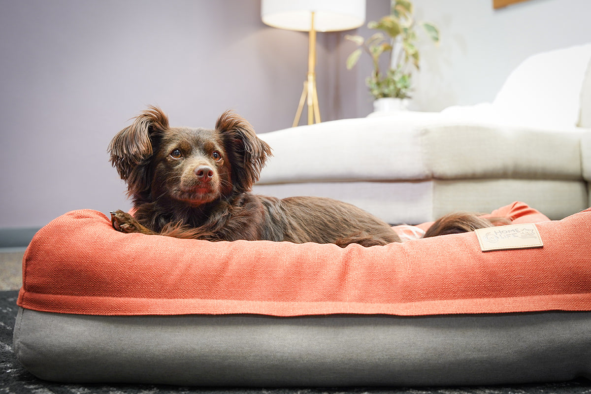 Air Bed - Medium size