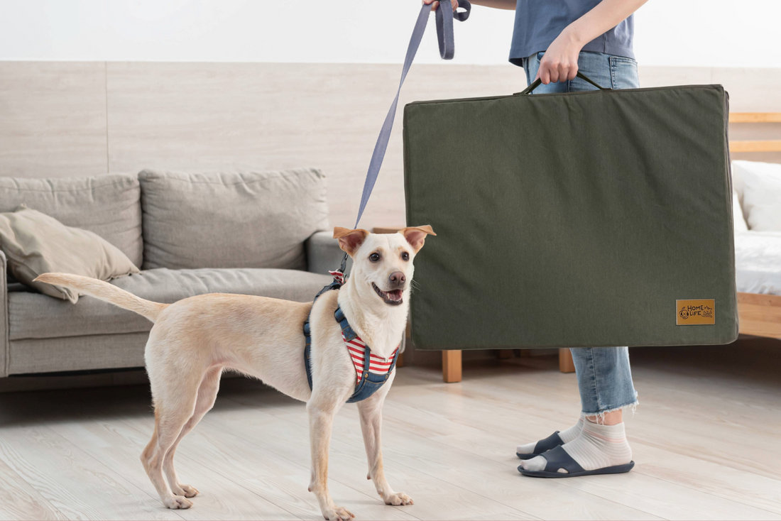 The Travel Bed We Bring Everywhere During Summer