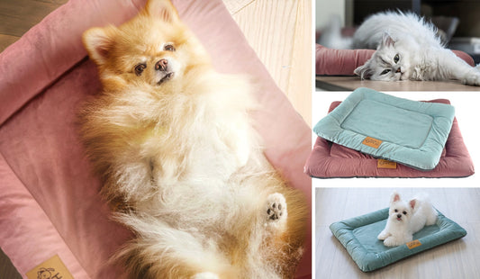 Why the HomeLife Mini Bed Was Designed