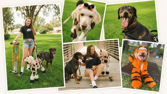 Meet Elara, Huxson, and the Creative Heart Behind Their Colorful Adventures