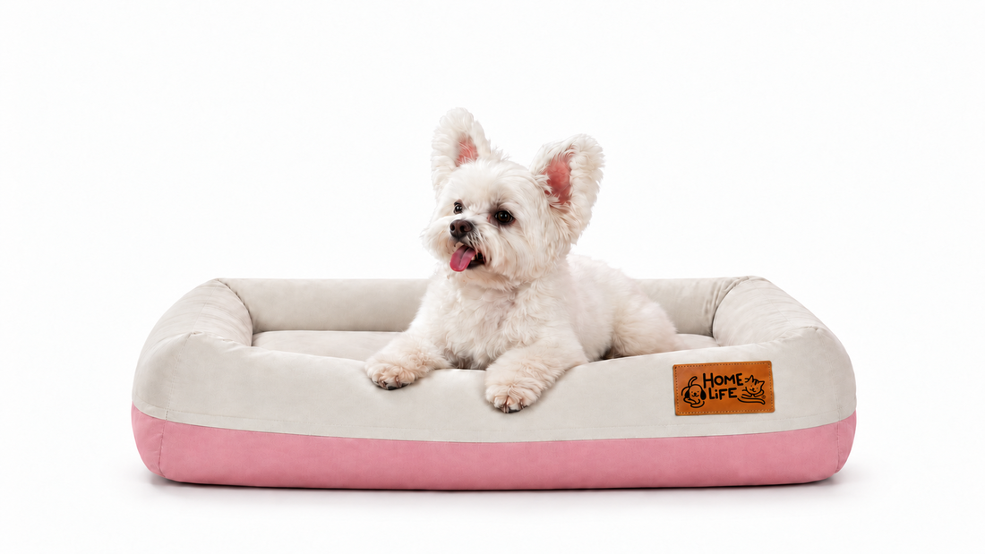 Picture Your Fur Baby Here: Meet the HomeLife Air Bed