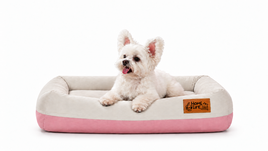 Picture Your Fur Baby Here: Meet the HomeLife Air Bed