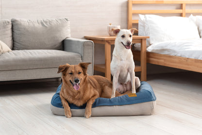 Air Bed - Large size