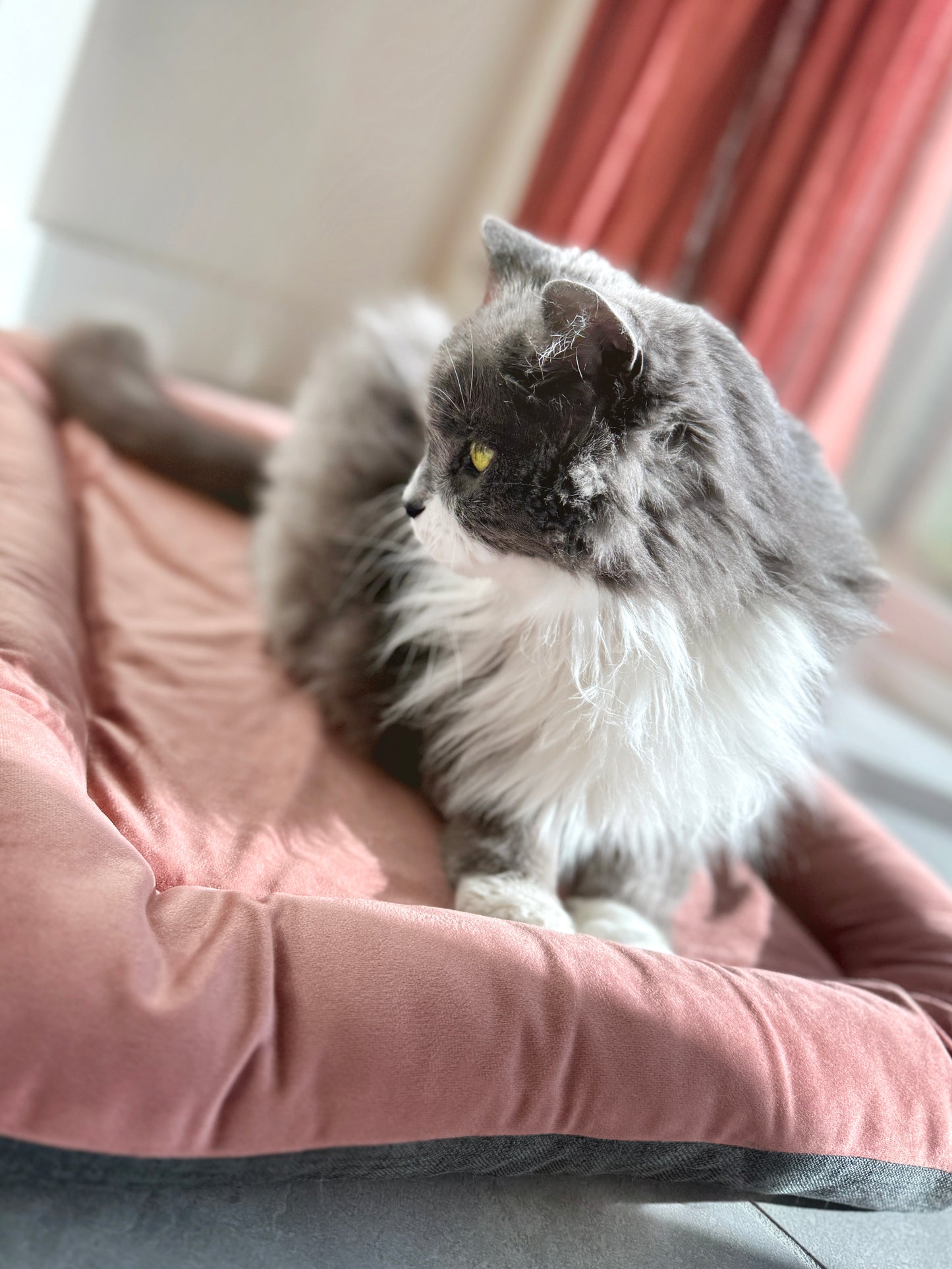 Mini Bed - Small size