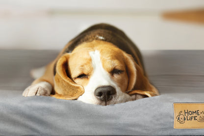 Lazy Bed - Large size