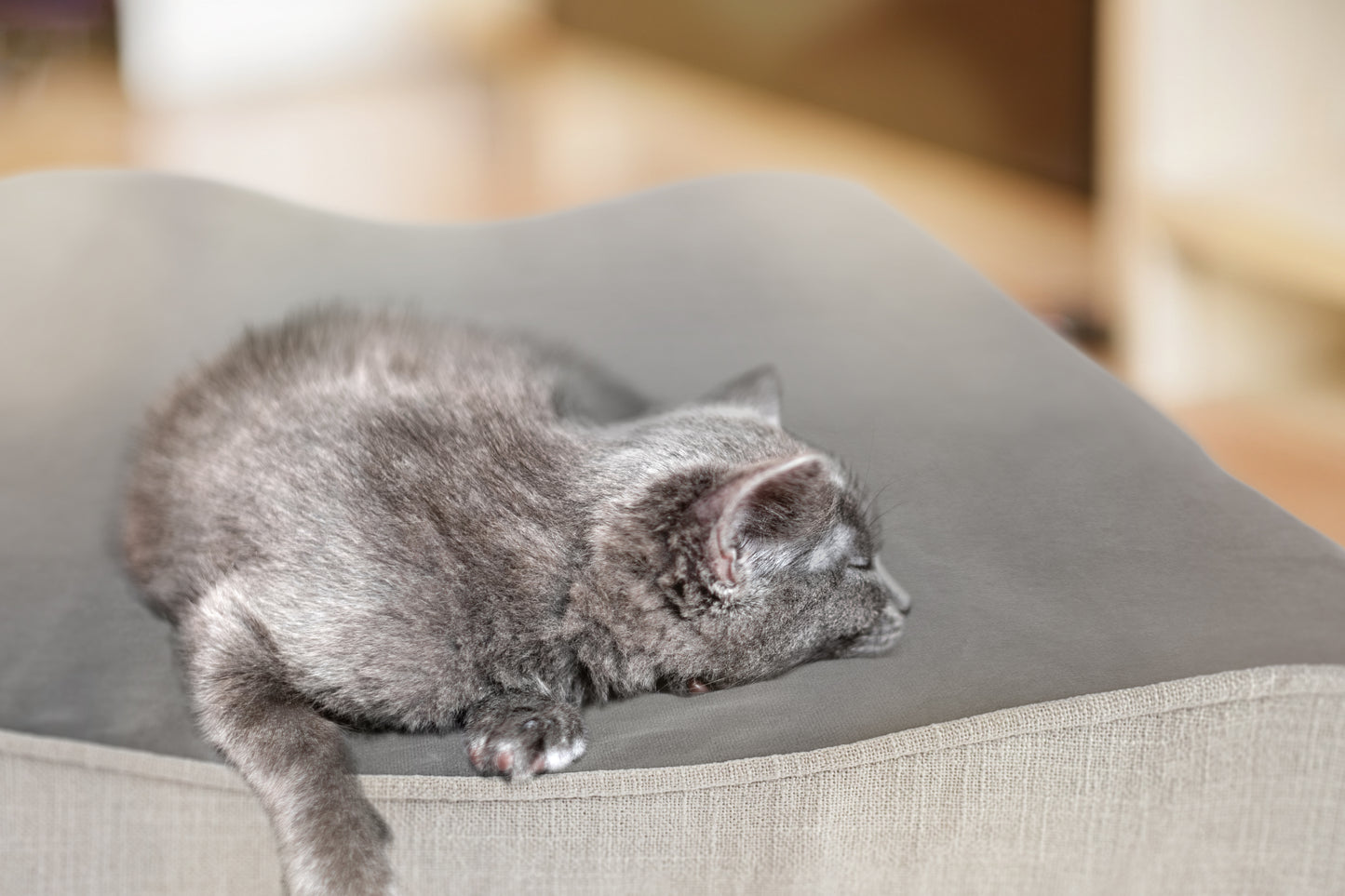 Lazy Bed - Medium size