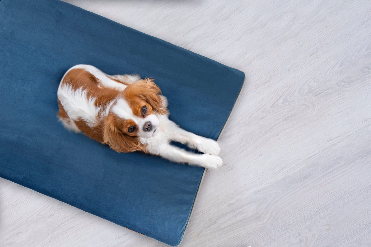 Lazy Bed - Large size